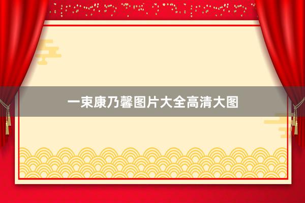 一束康乃馨图片大全高清大图